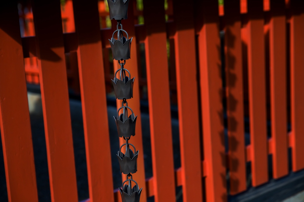 IMG_8824.jpg IMG_8824.jpg