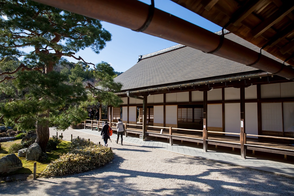 IMG_8840.jpg IMG_8840.jpg