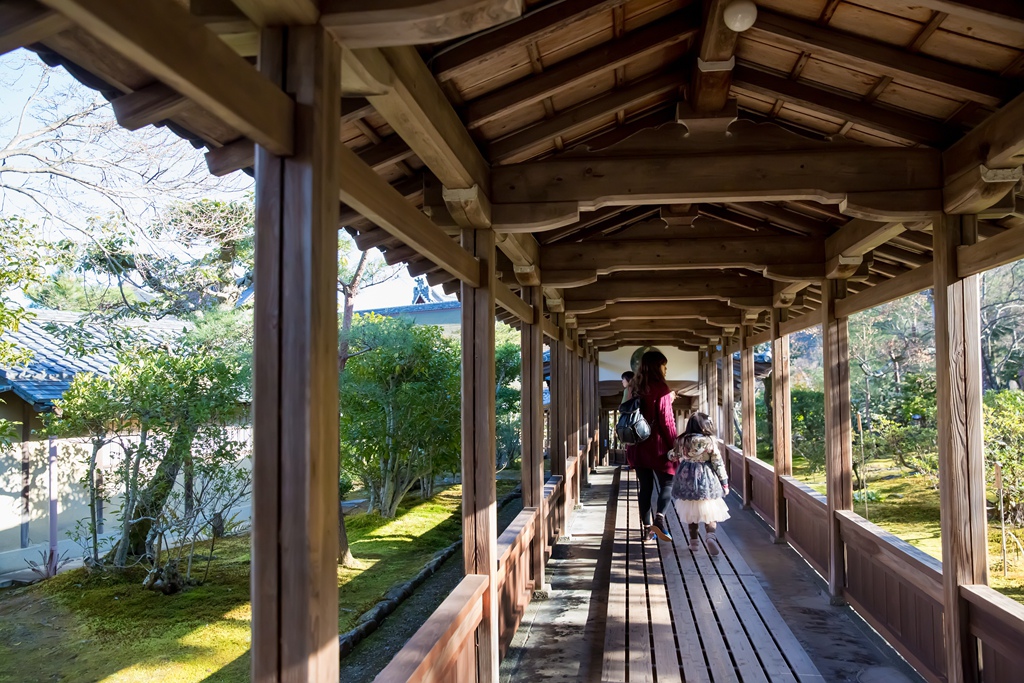 IMG_8873.jpg IMG_8873.jpg