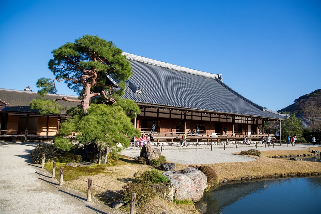 IMG_8916.jpg IMG_8916.jpg