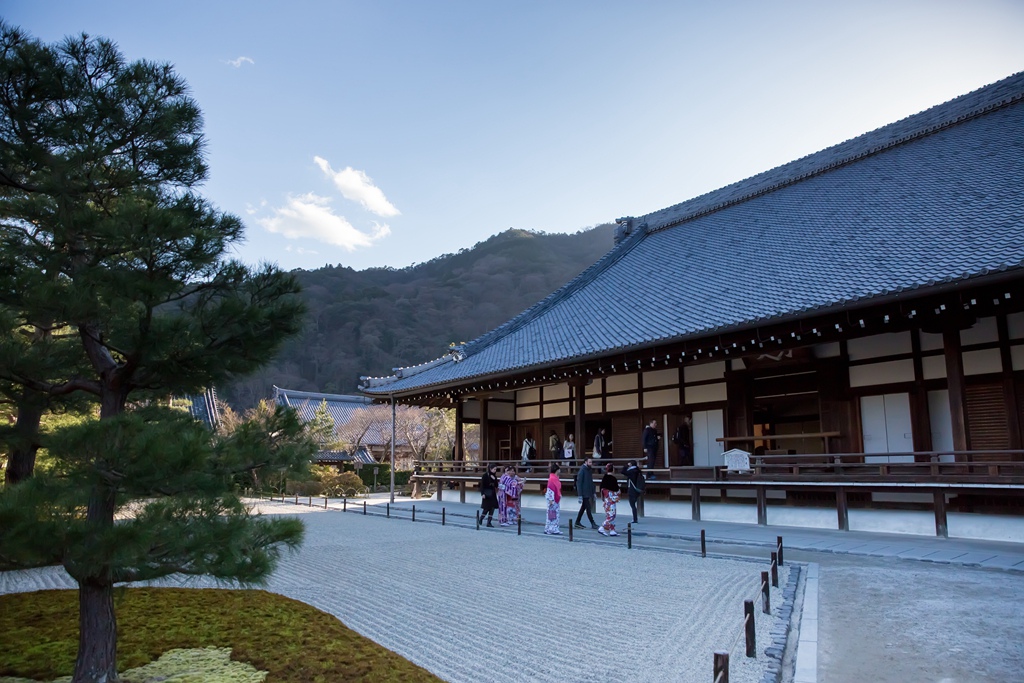 IMG_8941.jpg IMG_8941.jpg