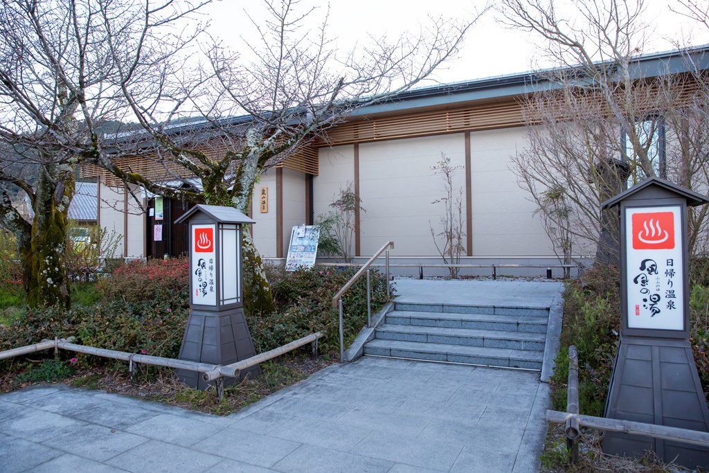 IMG_9006.jpg IMG_9006.jpg