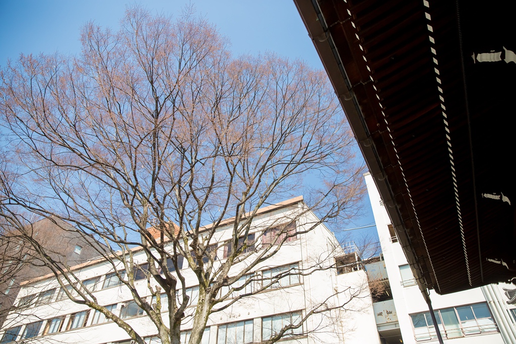 2016-03-17-09h43m31.jpg 2016-03-17-09h43m31.jpg