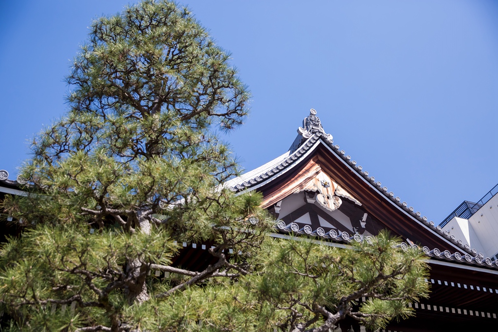 2016-03-17-09h45m21.jpg 2016-03-17-09h45m21.jpg