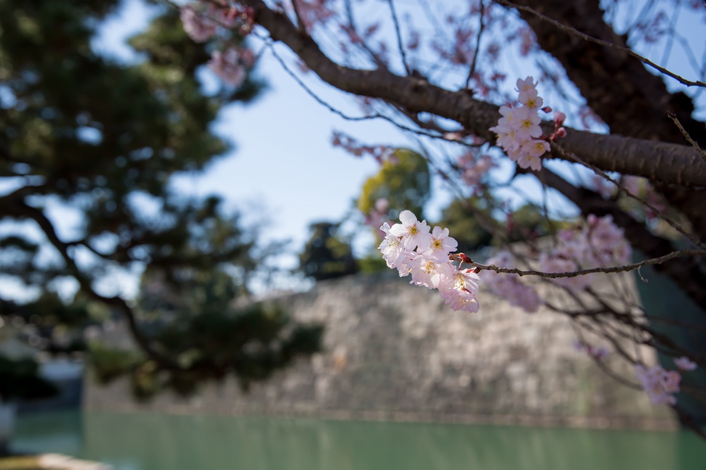 2016-03-17-11h06m02.jpg 2016-03-17-11h06m02.jpg