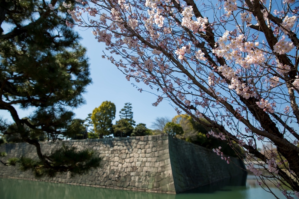 2016-03-17-11h06m28.jpg 2016-03-17-11h06m28.jpg