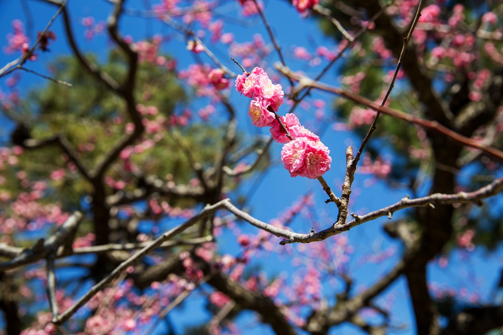 2016-03-17-11h55m14.jpg 2016-03-17-11h55m14.jpg