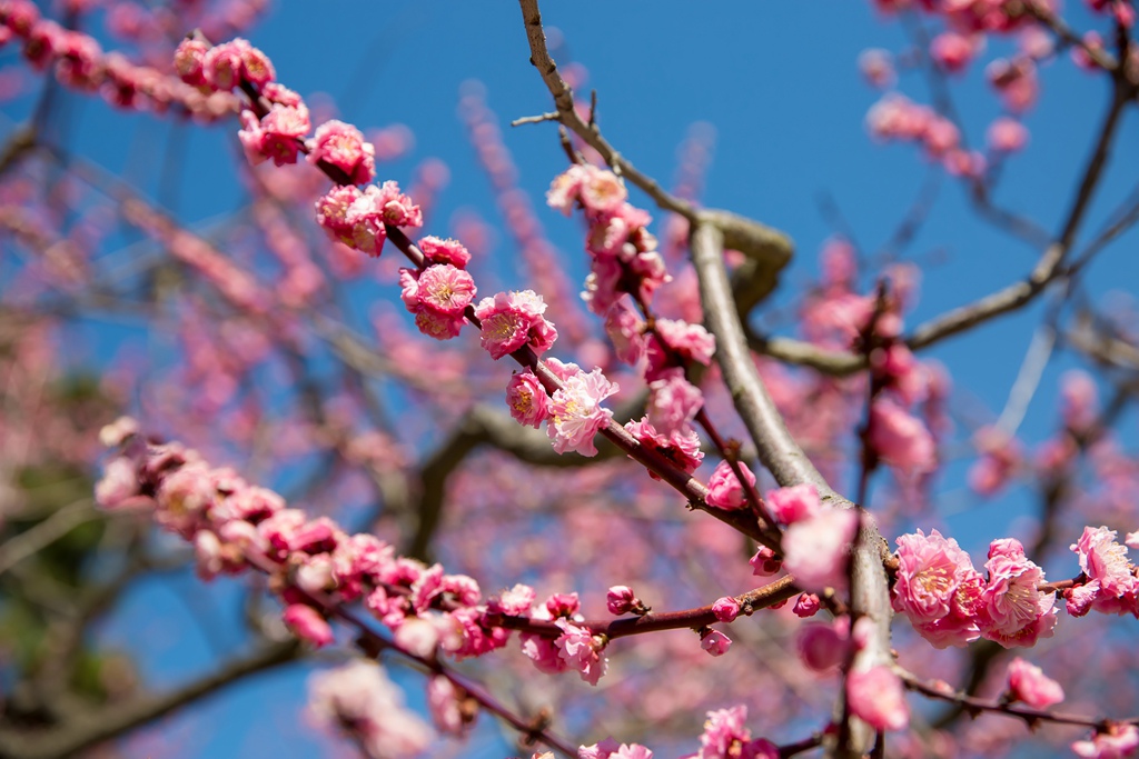 2016-03-17-11h58m08.jpg 2016-03-17-11h58m08.jpg