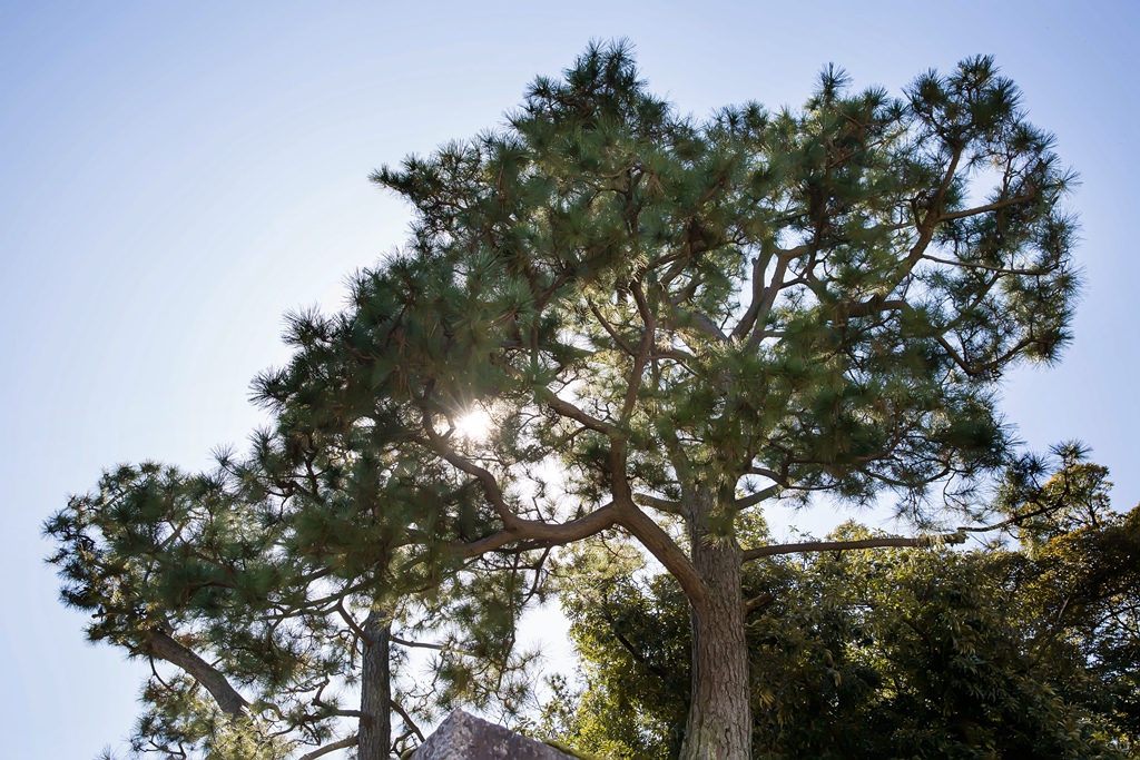 2016-03-17-12h13m31.jpg 2016-03-17-12h13m31.jpg