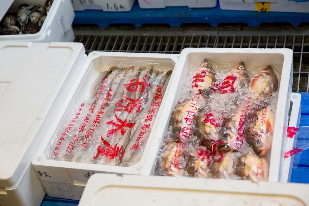 2016-03-17-13h44m25.jpg 2016-03-17-13h44m25.jpg