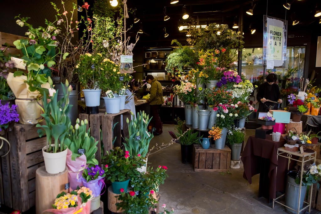 2016-03-17-16h21m32.jpg 2016-03-17-16h21m32.jpg