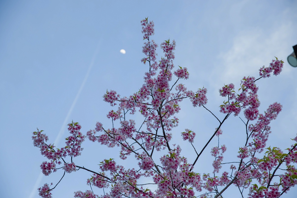 2016-03-17-16h44m39.jpg 2016-03-17-16h44m39.jpg