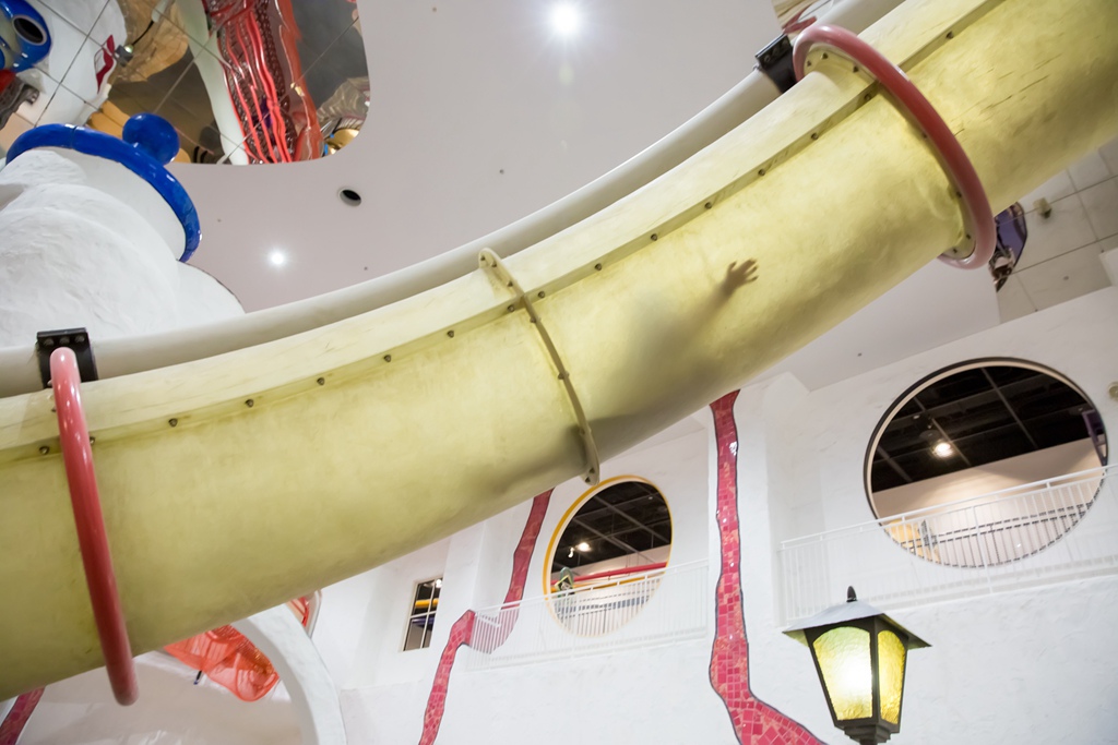 IMG_0731.jpg IMG_0731.jpg