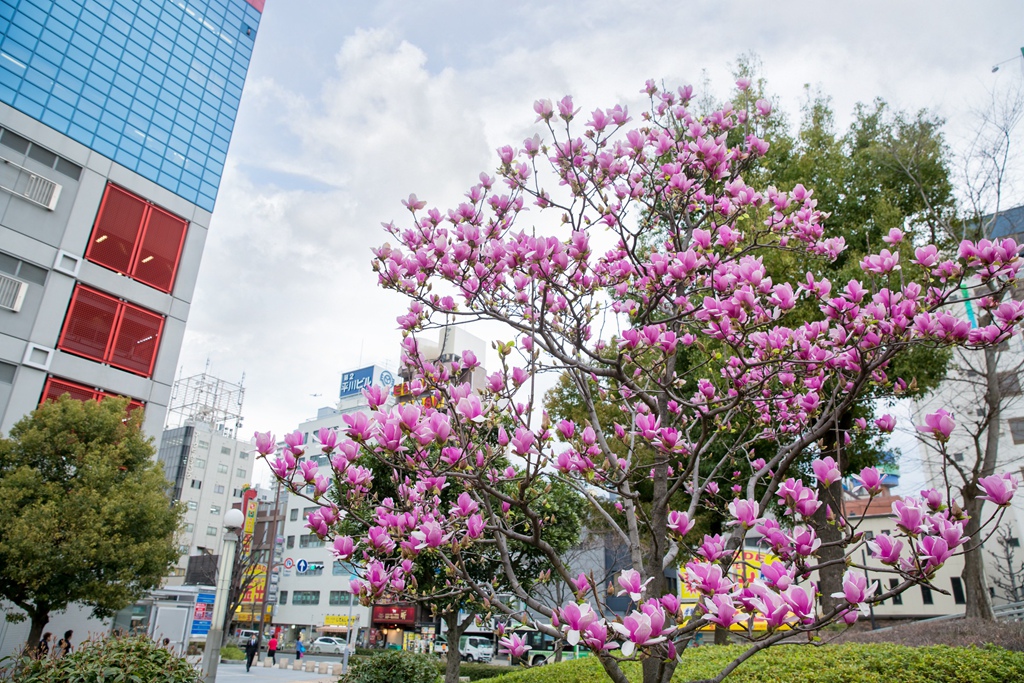 IMG_1121.jpg IMG_1121.jpg