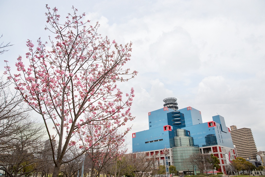 IMG_1132.jpg IMG_1132.jpg