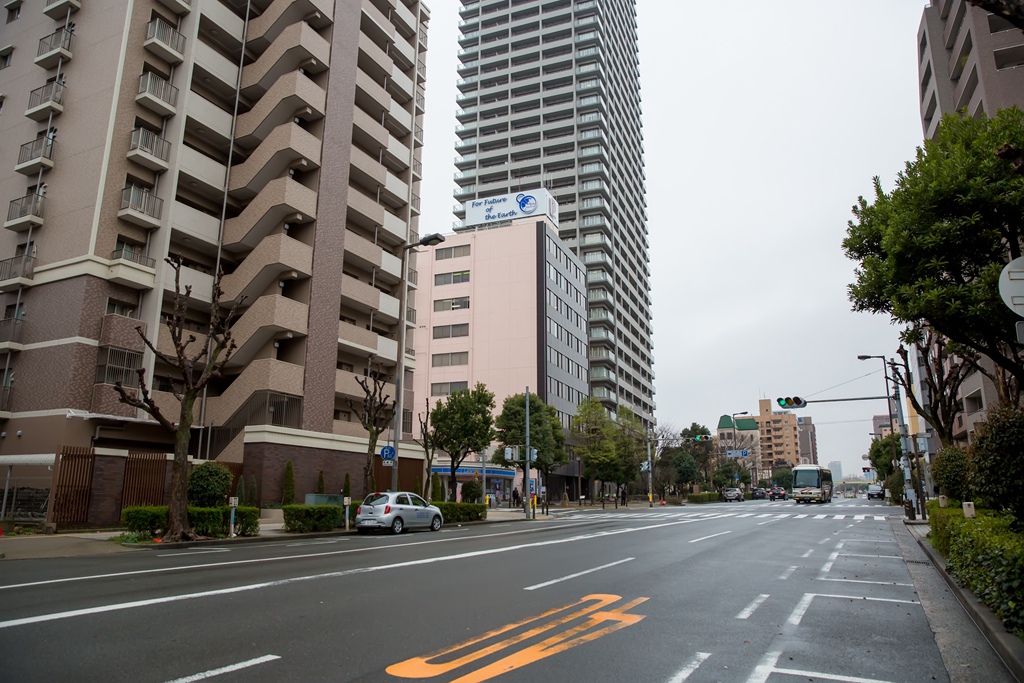 IMG_1215.jpg IMG_1215.jpg