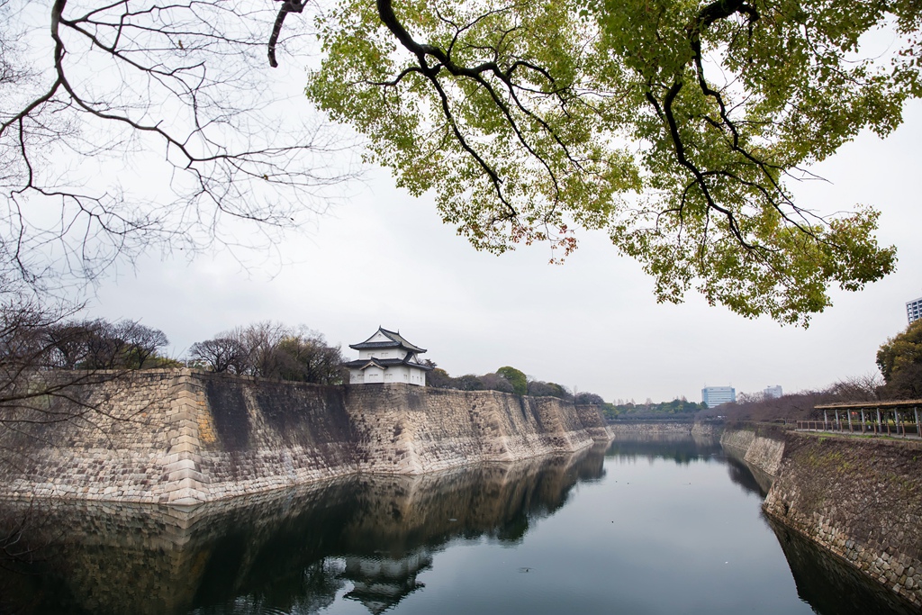 IMG_1239.jpg IMG_1239.jpg