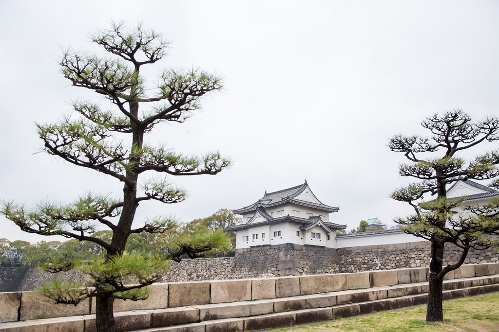 IMG_1274.jpg IMG_1274.jpg