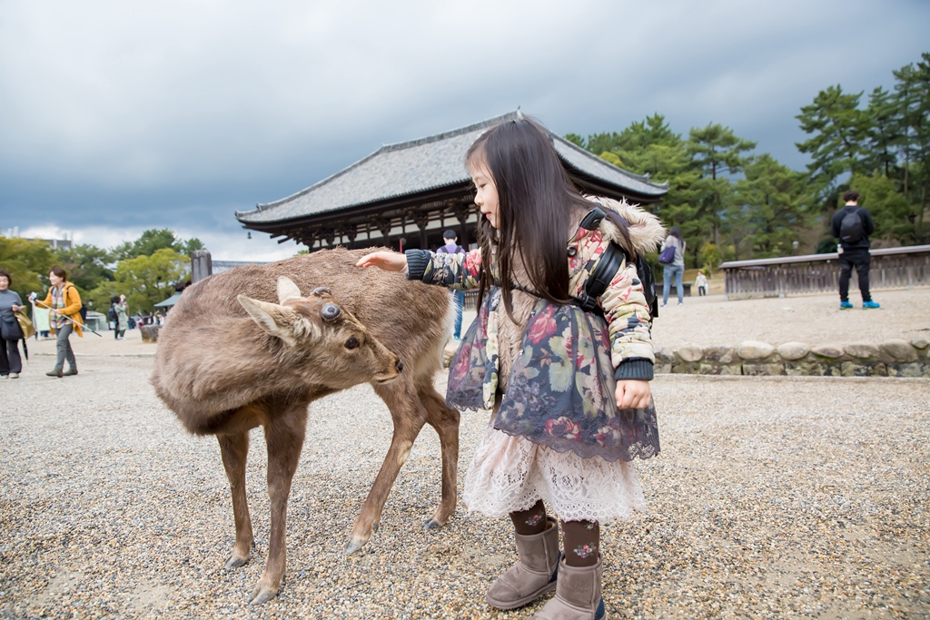 IMG_1630.jpg IMG_1630.jpg