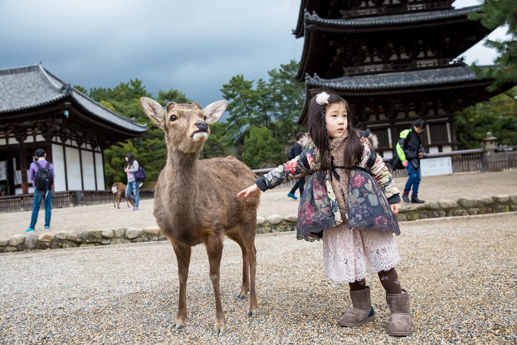 IMG_1642.jpg IMG_1642.jpg