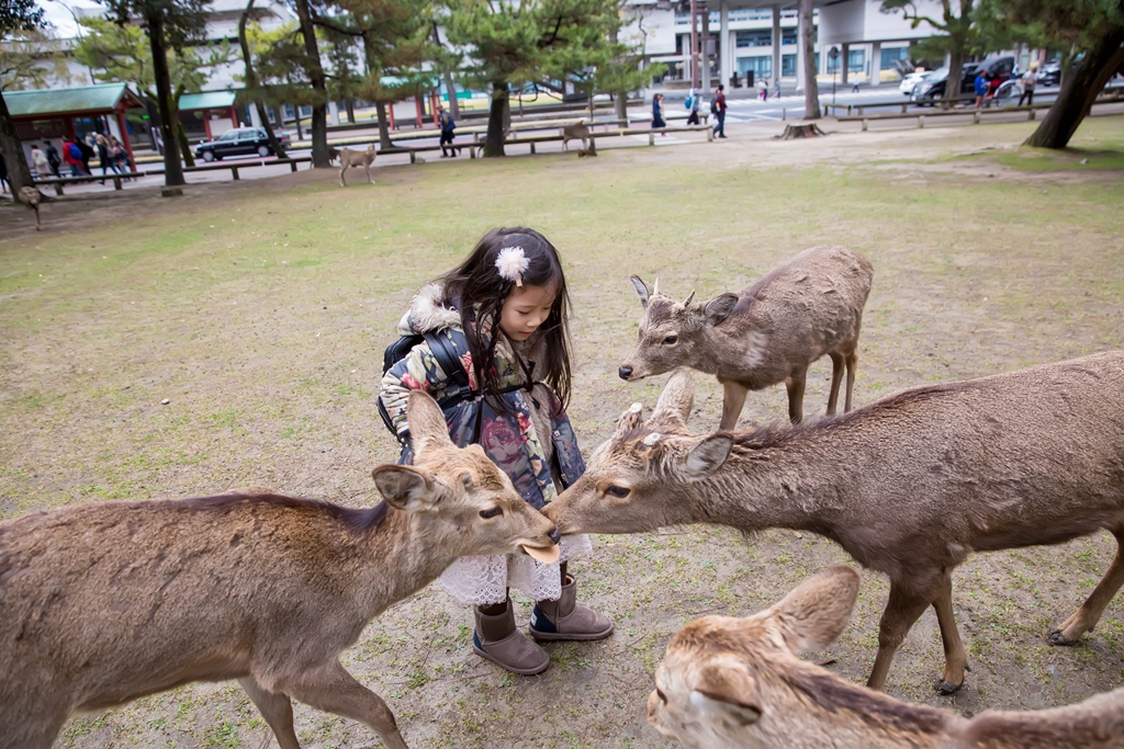 IMG_1683.jpg IMG_1683.jpg