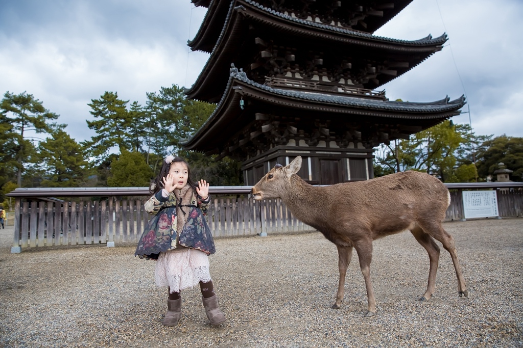 IMG_1776.jpg IMG_1776.jpg