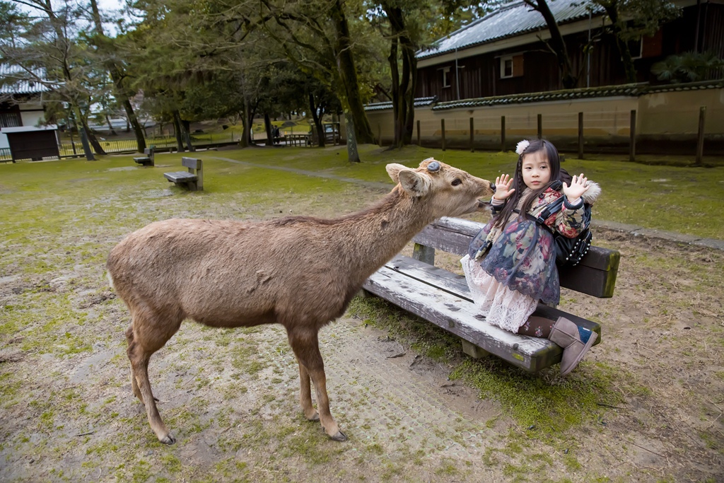 IMG_1796.jpg IMG_1796.jpg