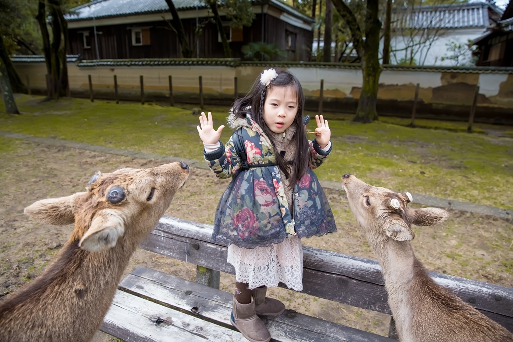 IMG_1812.jpg IMG_1812.jpg