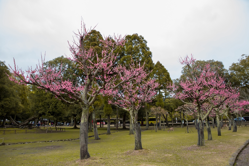 IMG_1925.jpg IMG_1925.jpg