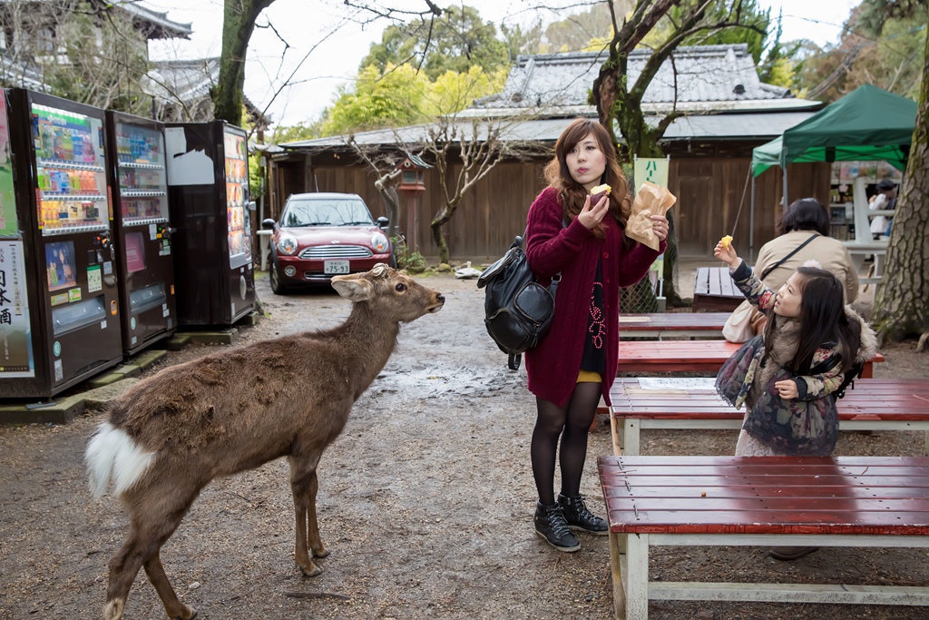 IMG_1947.jpg IMG_1947.jpg