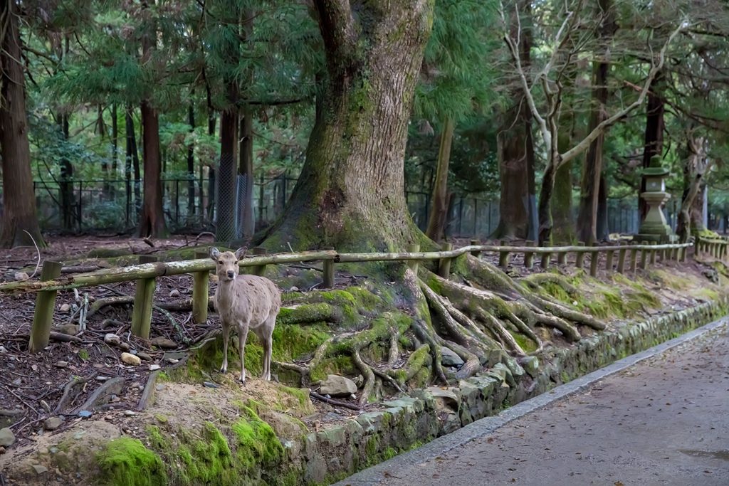 IMG_1986.jpg IMG_1986.jpg