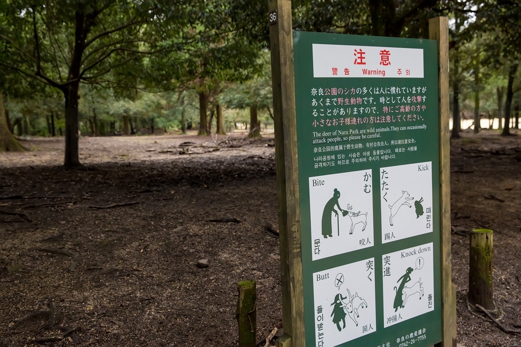 IMG_2007.jpg IMG_2007.jpg