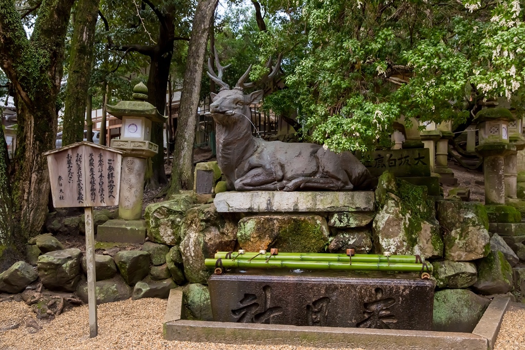 IMG_2030.jpg IMG_2030.jpg