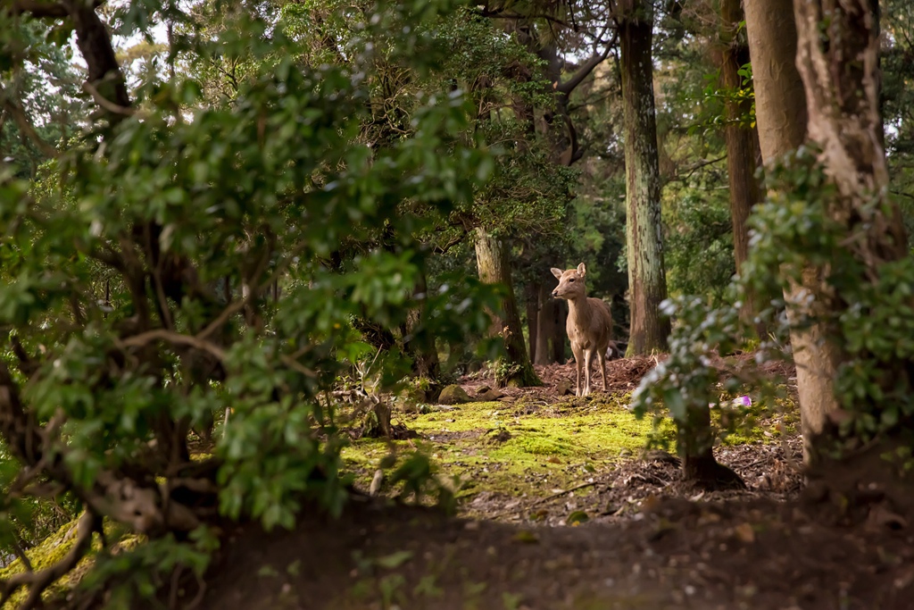 IMG_2225.jpg IMG_2225.jpg