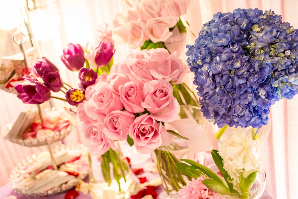 2016-02-27-16h48m37.jpg 2016-02-27-16h48m37.jpg