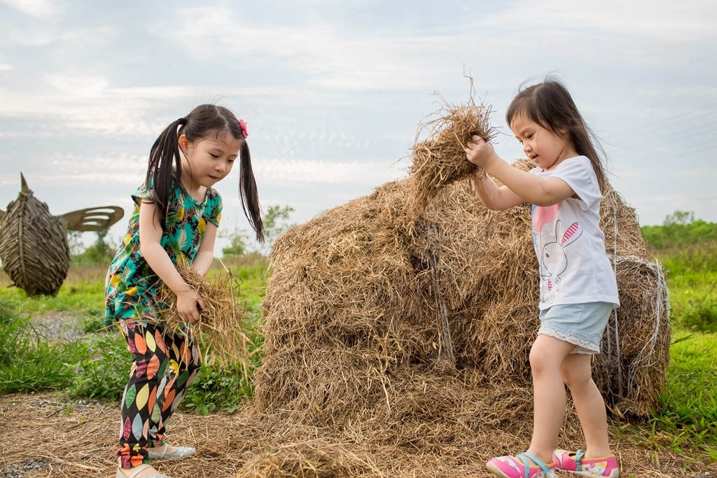 2016-04-04-17h50m03.jpg 2016-04-04-17h50m03.jpg