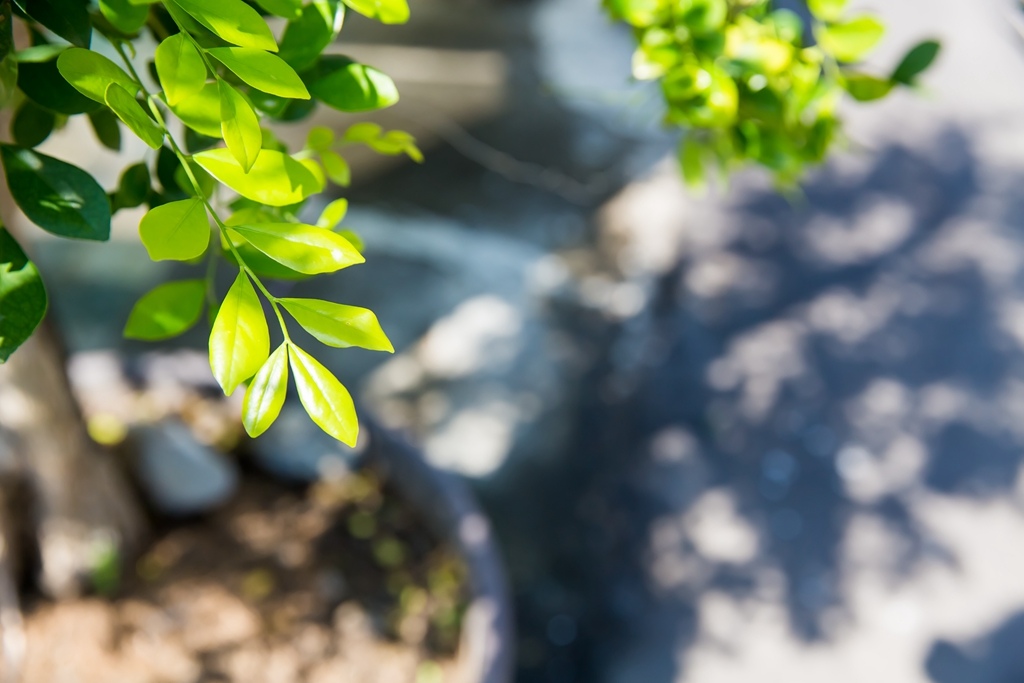 2016-03-26-09h19m43.jpg 婚攝尹林婚禮,婚攝阿斌師,婚禮紀錄,南部婚攝,台南婚攝,台南婚禮紀錄,高雄婚攝,高雄婚禮紀錄,優質婚攝,口碑婚攝,結婚,訂婚,教堂婚禮,教會婚禮,海外婚禮,weddingday,非常婚禮,台南桃山餐廳,桃山婚宴會館,奇美博物館外拍,奇美博物館,訂婚,午宴,類婚紗2016-03-26-09h19m43.jpg