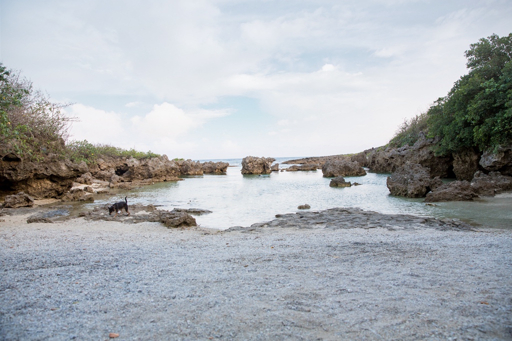 2016-04-19-17h43m17.jpg 2016-04-19-17h43m17.jpg