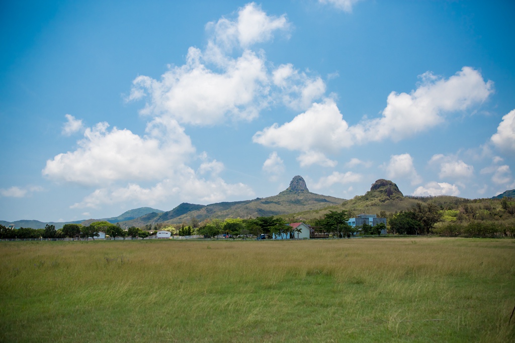 IMG_2061.jpg IMG_2061.jpg