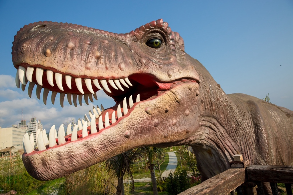 IMG_2268.jpg IMG_2268.jpg