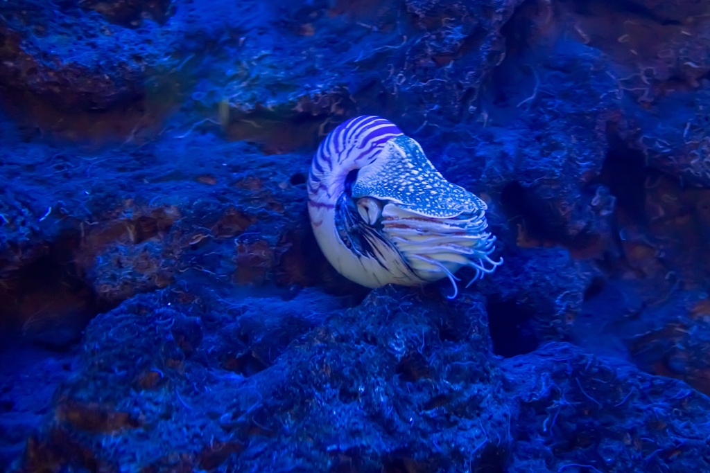 HY6A1348.jpg HY6A1348.jpg