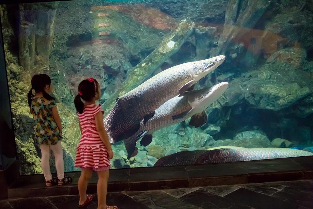 HY6A1352.jpg HY6A1352.jpg