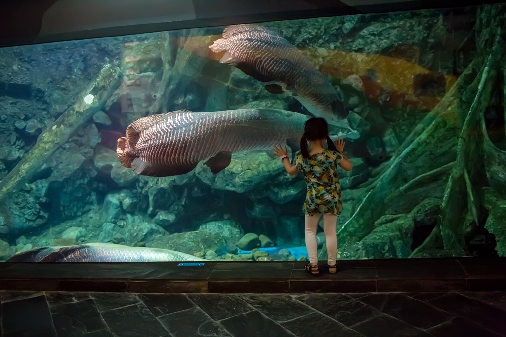 HY6A1354.jpg HY6A1354.jpg