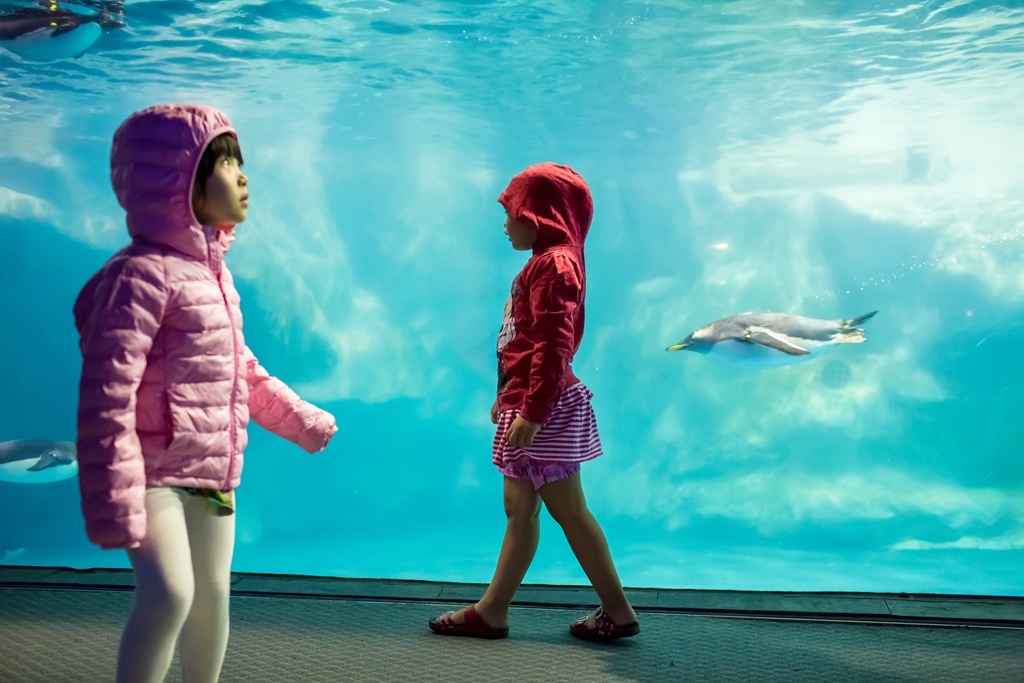 HY6A1370.jpg HY6A1370.jpg