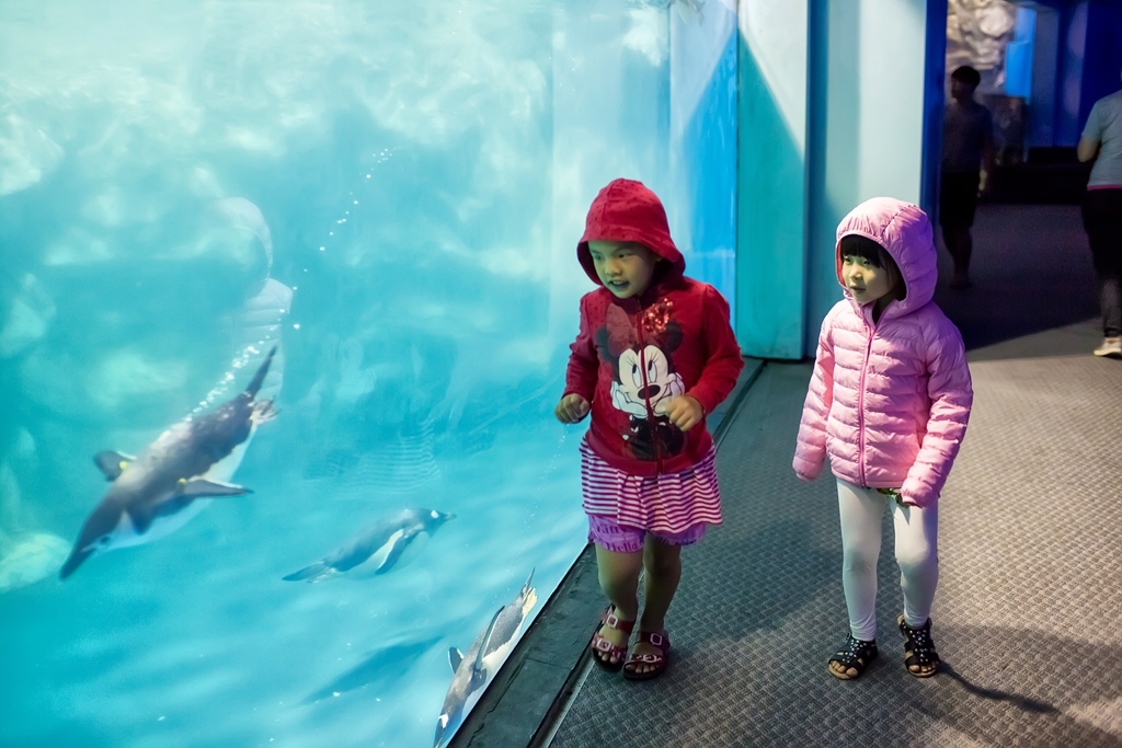 HY6A1378.jpg HY6A1378.jpg