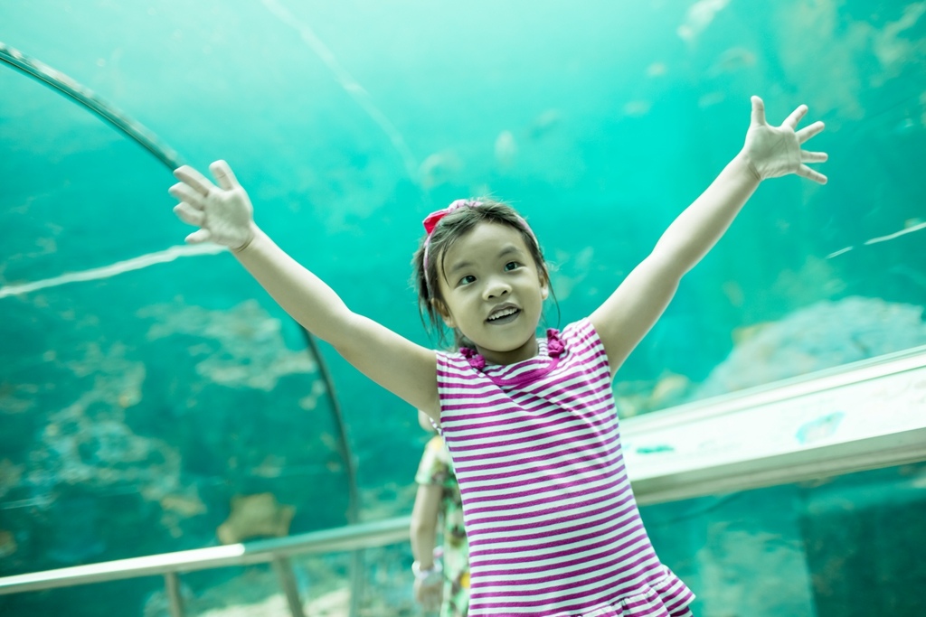 HY6A1427.jpg HY6A1427.jpg