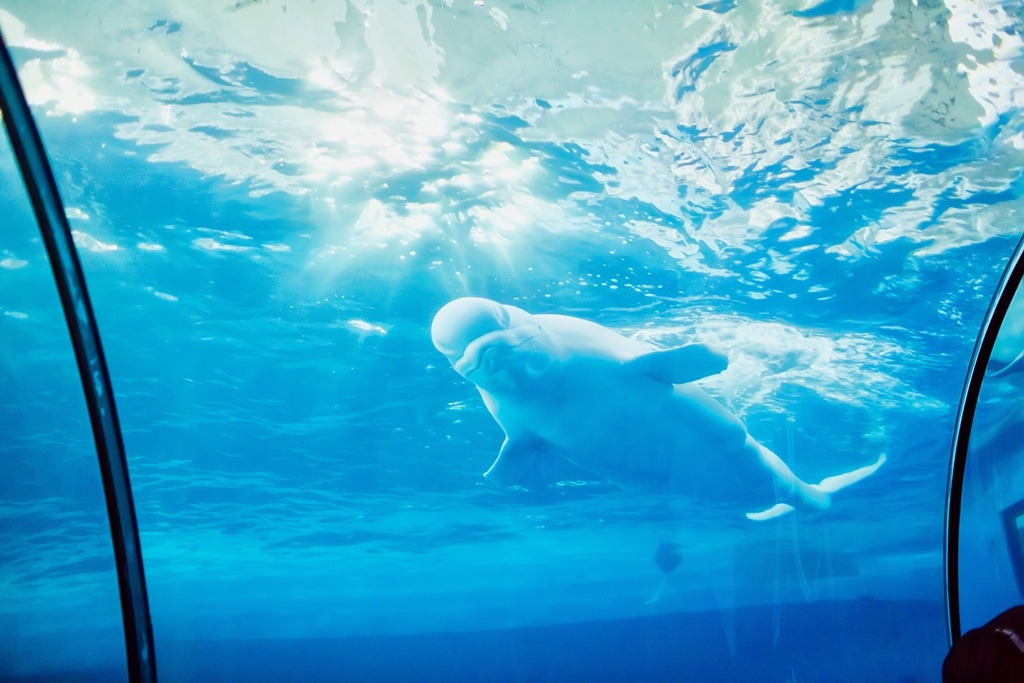 HY6A1436.jpg HY6A1436.jpg