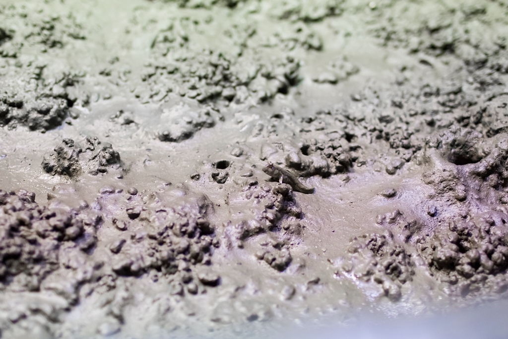 HY6A1441.jpg HY6A1441.jpg