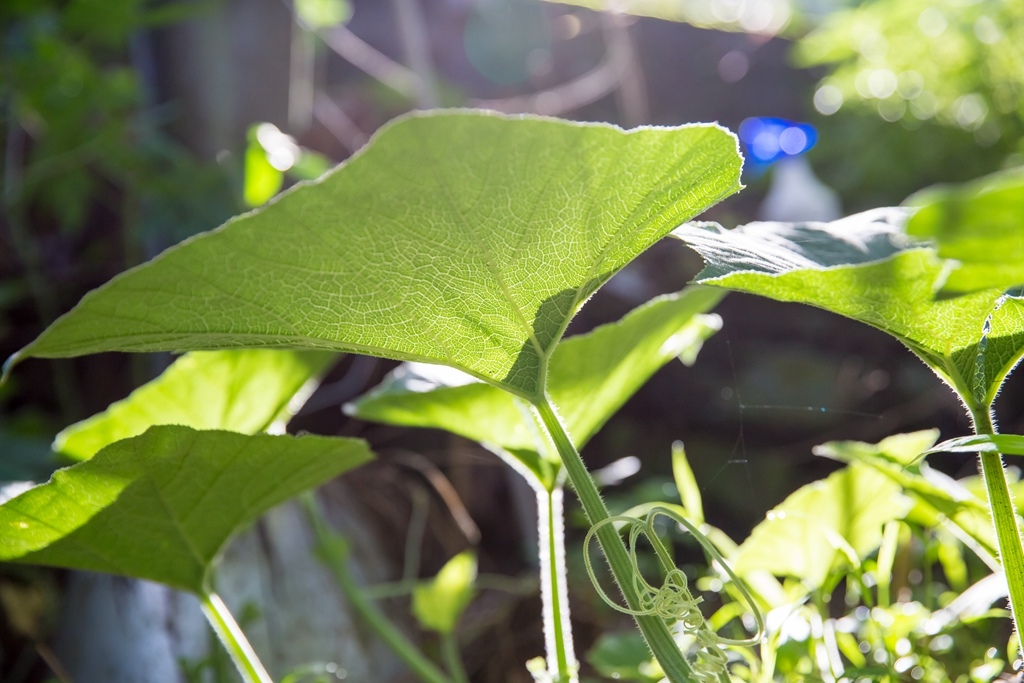 2016-07-01-07h46m26.jpg 2016-07-01-07h46m26.jpg