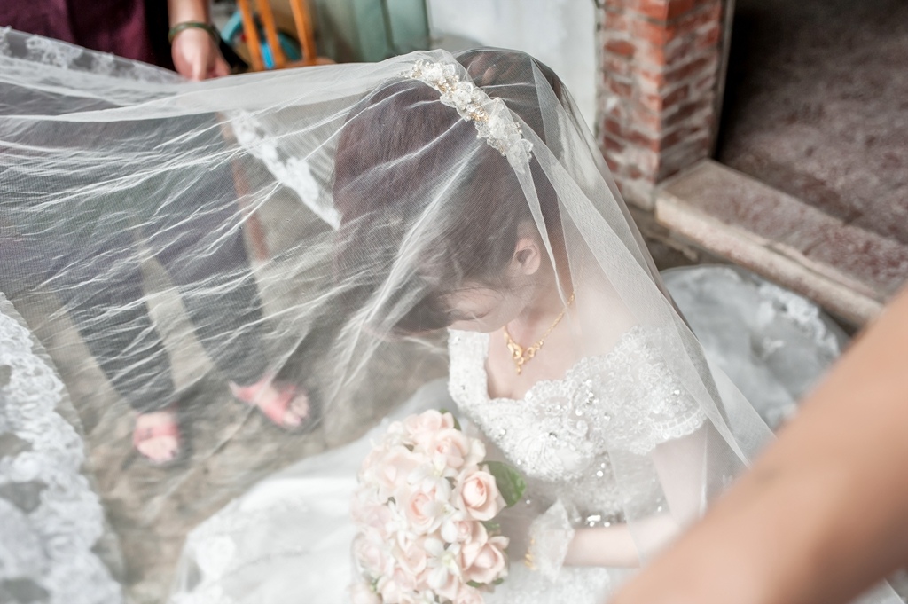 CK1_8246.jpg CK1_8246.jpg